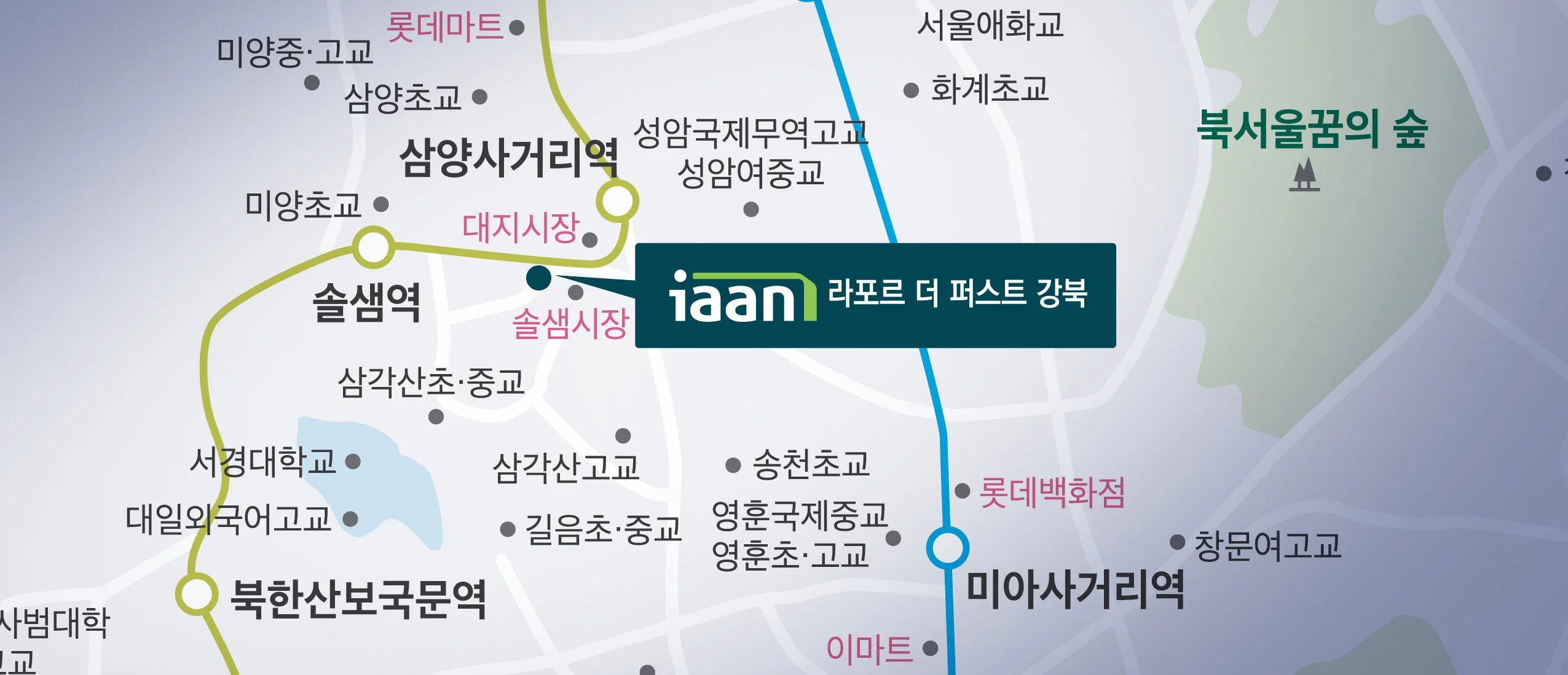 프리미엄 01